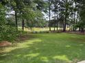 Private fenced backyard featuring large lawn and serene pond view for outdoor enjoyment at 704 Euel Dr, Mcdonough, GA 30252