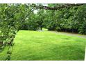 Spacious, well-maintained lawn leading to a secluded driveway, surrounded by lush, mature trees at 1537 David Lee St, Acworth, GA 30102