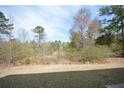 Expansive backyard with lawn, offering a serene outdoor space at 2417 Overlook Ave, Lithonia, GA 30058