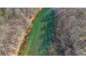 Aerial view of a slow-moving river through the woods. The water is emerald green and the trees are barren at 775 River Cliff Ct, Suwanee, GA 30024