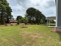 Spacious backyard featuring a newly planted sapling tree at 3166 Morris Hills Dr, Dacula, GA 30019