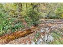 Scenic creek with stones and greenery, adding a natural, tranquil element to the property at 7185 Peachtree Dunwoody Rd, Atlanta, GA 30328