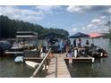 Lakeside dock scene featuring boats, people, and water activities on a sunny day at 4770 Hilltop Nw Dr, Acworth, GA 30101