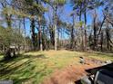 Large back yard featuring an expanse of lush greenery and mature trees, perfect for outdoor activities at 3382 Phillips Cir, Decatur, GA 30032