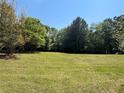 Expansive backyard with a lush green lawn and mature trees, offering ample space for outdoor activities at 6365 Mountain View Trl, Cumming, GA 30041