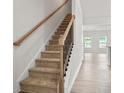 Inviting carpeted staircase featuring wood handrail and modern black metal balusters at 321 Skye Ln # 53, Cartersville, GA 30121