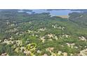 Beautiful aerial view of a home in a wooded community with lake views, encircled in yellow at 4260 River Club Dr, Cumming, GA 30041