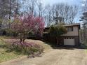 Charming home featuring a well-maintained yard, beautiful flowering tree and driveway at 719 Copper Trace Way, Woodstock, GA 30189