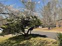 Street view showcasing landscaping surrounding the home at 719 Copper Trace Way, Woodstock, GA 30189