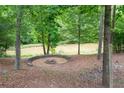 Stone fire pit area surrounded by mature trees and lush foliage near the creek at 3285 Kelly Glen Ct, Dacula, GA 30019