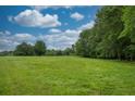 Lush green field with a backdrop of mature trees and a blue sky with fluffy white clouds at 3285 Kelly Glen Ct, Dacula, GA 30019