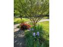 Landscaped yard with mature trees and colorful flower beds. Offers great curb appeal at 345 Lambeth Dr, Hiram, GA 30141