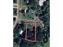 A bird's-eye view of the property in a tree-lined neighborhood at the end of a quiet cul-de-sac at 17 Wildflower Cv, Carrollton, GA 30116