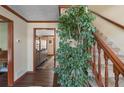 Inviting foyer showcasing hardwood floors, staircase with wood banister, and an indoor tree at 820 Hounds Ridge Ct, Lawrenceville, GA 30043