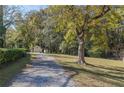 Long gravel driveway leading to a detached garage, lined by trees and greenery at 3085 Remington St, East Point, GA 30344