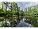 Picturesque pond surrounded by lush greenery and mature trees at 3117 Kings Arms Ne Ct, Atlanta, GA 30345