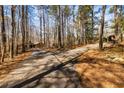 Long paved driveway leading to the home, surrounded by tall trees at 166 Muse Rd, Fayetteville, GA 30214