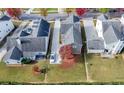 Aerial view of homes showcases private driveways and manicured lawns in a well-maintained neighborhood at 3660 Lake Pass Ln, Suwanee, GA 30024