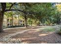Scenic view of the community with mature trees and green space at 385 Ralph Mcgill Ne Blvd # D, Atlanta, GA 30312