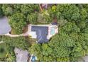 Aerial view of wooded property, showcasing home, pool, circular driveway, and lush landscaping at 2885 Coles Way, Atlanta, GA 30350