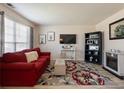 Cozy living room features a comfortable red sofa, decorative rug, and modern entertainment setup at 6455 N Glen Dr, Cumming, GA 30028