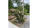 Beautiful view of lush flower garden bordering a sidewalk in a residential area at 2795 Kimmeridge Dr, Atlanta, GA 30344