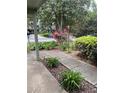 Inviting walkway with manicured greenery and colorful blooms leading to the front of the house at 165 Woodhaven Way, Alpharetta, GA 30009