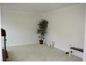 Neutral room with carpet, a small lamp, a potted plant, and workout bench, perfect for an office or workout room at 179 Hunters Crk, Dallas, GA 30157