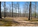 Spacious backyard is surrounded by mature trees and has an open area ideal for a variety of outdoor activities at 680 Milligan Creek Rd, Roopville, GA 30170
