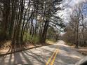 Tree-lined street on a sunny day with double yellow lines at 5100 Alexander Ave, Union City, GA 30291