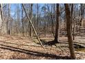 Secluded backyard featuring a small stream, offering a peaceful and natural setting at 400 Surveyors Pt, Suwanee, GA 30024