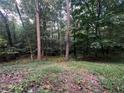 View of the wooded area behind the house at 3013 Rockview Dr, Loganville, GA 30052