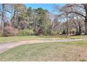 Expansive grassy backyard bordered by mature trees and foliage at 1420 Stephenson Rd, Lithonia, GA 30058