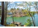 Picturesque lake view framed by mature trees, offering a serene setting at 778 Lakeview Ln, Berkeley Lake, GA 30096