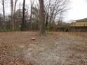 A view of the backyard with mature trees providing shade and privacy at 4269 Mercer Rd, Decatur, GA 30035