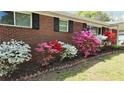 Close-up of the landscaping along the front of the house, showcasing a variety of colorful flowering azalea bushes at 4290 Chestnut Grove Ln, Austell, GA 30106