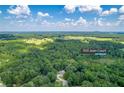 Aerial shot of a home nestled amongst lush trees in Covington, GA at 939 Jean Court at 939 Jean Ct, Covington, GA 30014