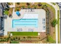 Aerial view of a community pool with lounge chairs and manicured landscaping at 518 Newstead Way, Woodstock, GA 30188