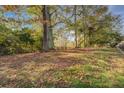 Spacious backyard with mature trees and lush greenery, providing a private outdoor space at 4975 Skyland Pkwy, Cumming, GA 30028