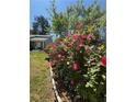 Beautiful landscaping featuring vibrant pink roses and lush greenery enhances the curb appeal at 2220 Wellington Cir, Lithonia, GA 30058