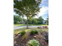 Well-maintained front yard with mature tree, landscaping, and view of the house at 3455 Buffington Ln, Cumming, GA 30040