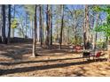 Secluded wooded backyard with seating, perfect for relaxing and enjoying nature at 3011 Canyon Point Cir, Roswell, GA 30076