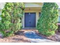 Front entrance featuring double doors with mature landscaping around entryway at 2701 East Mill Sw Way, Conyers, GA 30094