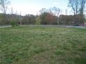 Large lot with lush green grass, perfect for outdoor activities or potential development, near a street at 3915 Dahlonega Hwy, Cumming, GA 30028