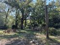 A view of the yard with a broken tree limb on the ground and an old utility pole visible at 3008 Grand Sw Ave, Atlanta, GA 30315