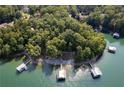Lush aerial view of waterfront property with docks and lake access nestled among trees at 6160 Lake Lanier Heights Rd, Buford, GA 30518