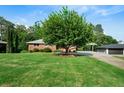 A well-maintained lawn and mature tree create a serene outdoor setting at 3925 Orchard Se Rd, Smyrna, GA 30080