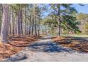 Scenic view of a private driveway surrounded by tall trees and natural landscape at 692 W Union Grove Cir, Auburn, GA 30011