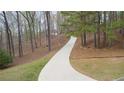 Long driveway leading up to the home at 240 Wrights Mill Way, Canton, GA 30115