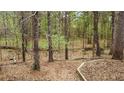 The backyard features a wooded area with trees, leaves, and a dry creek bed at 540 Basil Sw Ct, Marietta, GA 30064